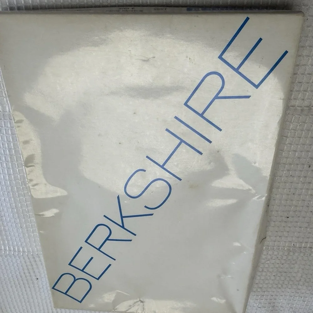 4 Pr Vtg BERKSHIRE Stockings Hosiery 9 S Utopia 30 Gauge Nylon Seamless New